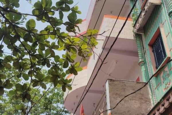 TPSODL issues 1,229 Notices for Power Line Encroachments