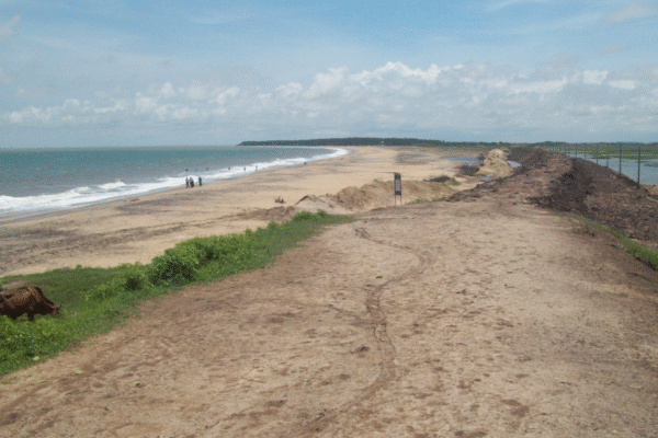Kendrapara tidal ingress