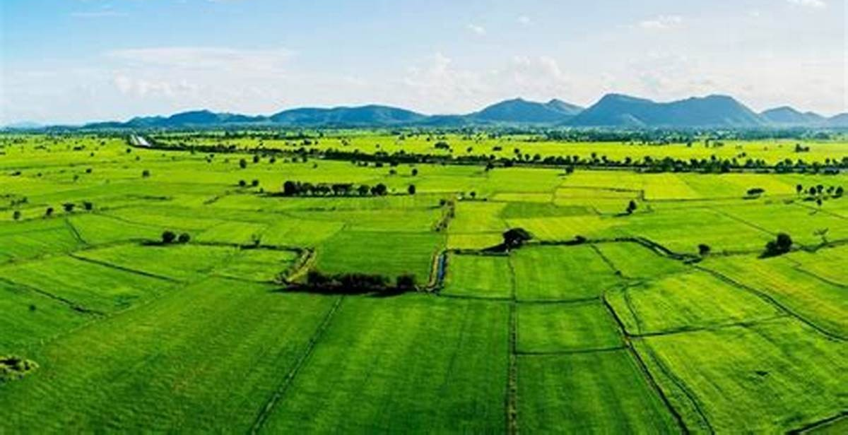 Odisha land Kisam simplification
