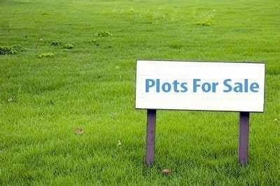 Odisha plot sale amendment 2025