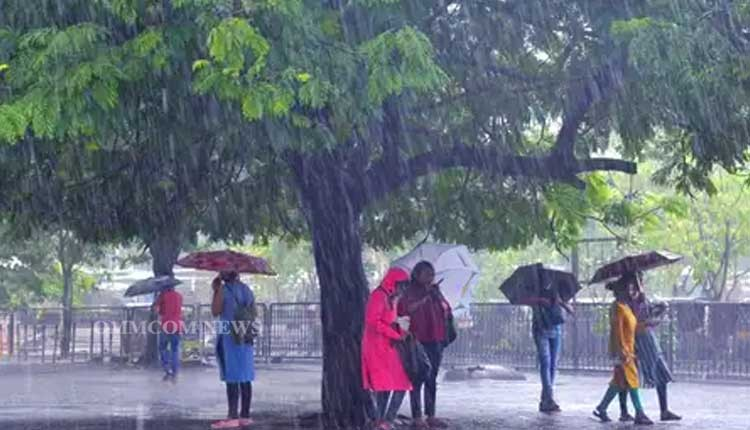 Odisha monsoon update