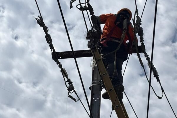 TPSODL Deploys Tech, Manpower for Summer Supply