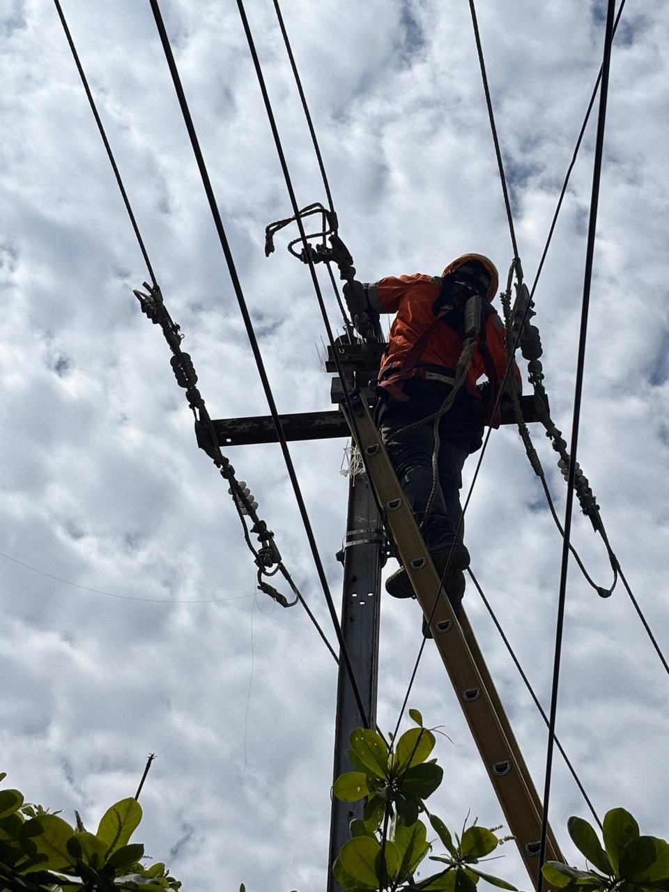 TPSODL Deploys Tech, Manpower for Summer Supply